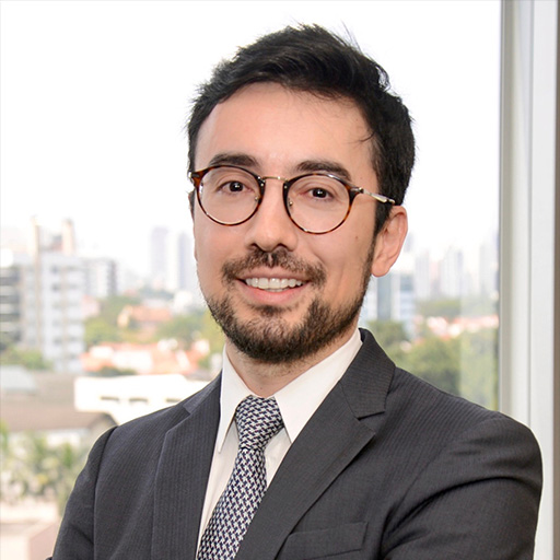 ANDRÉ LEME